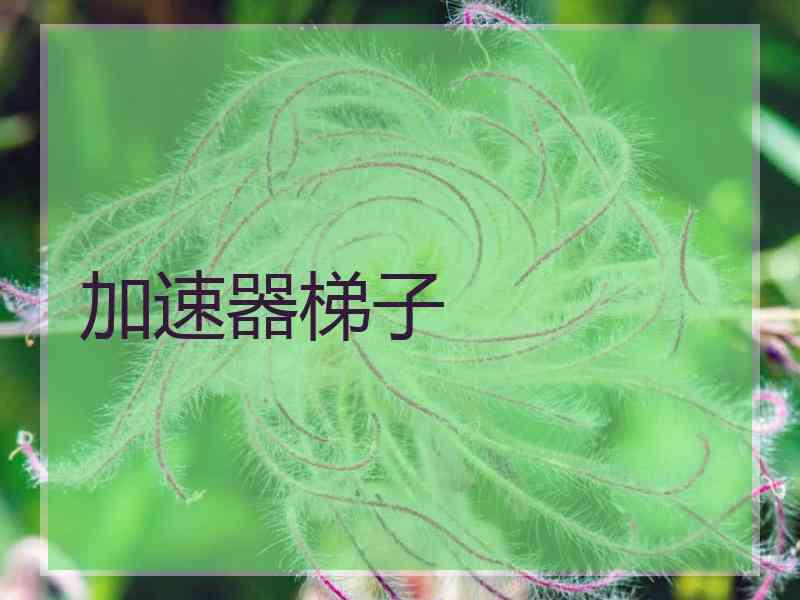 加速器梯子