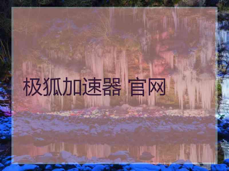 极狐加速器 官网