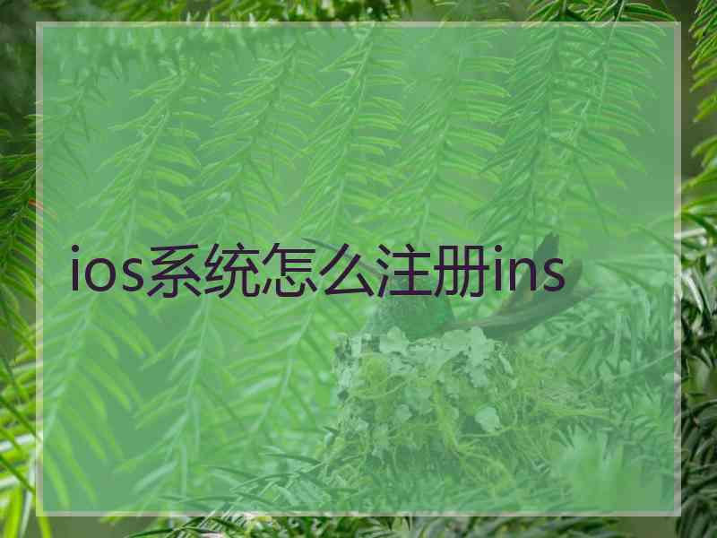 ios系统怎么注册ins