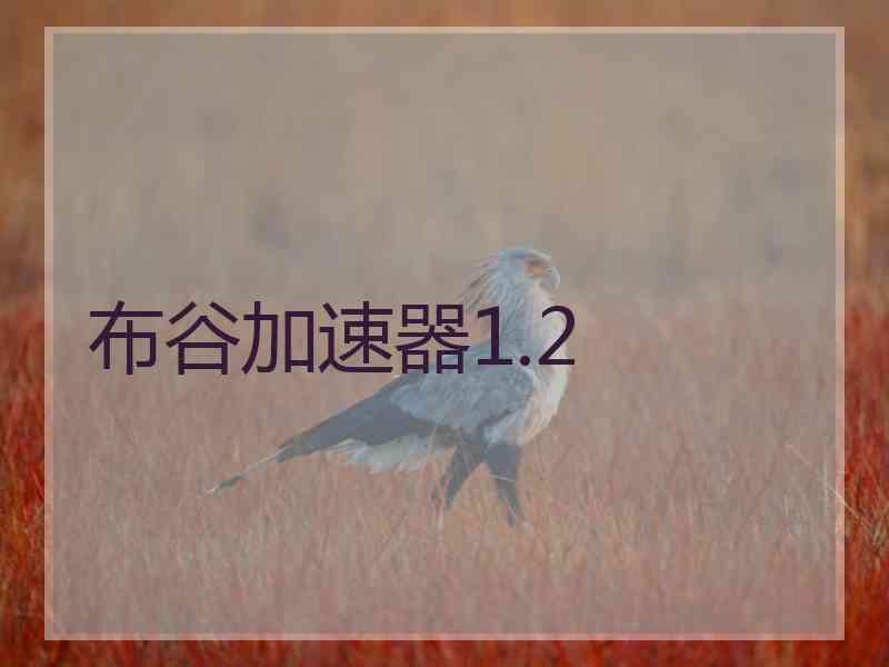 布谷加速器1.2