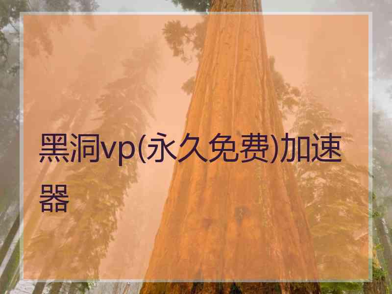 黑洞vp(永久免费)加速器
