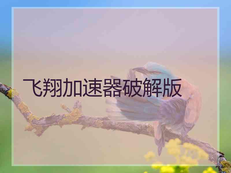飞翔加速器破解版