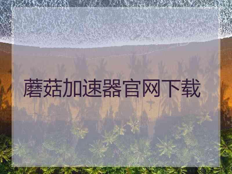蘑菇加速器官网下载