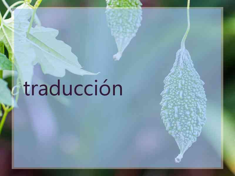traducción