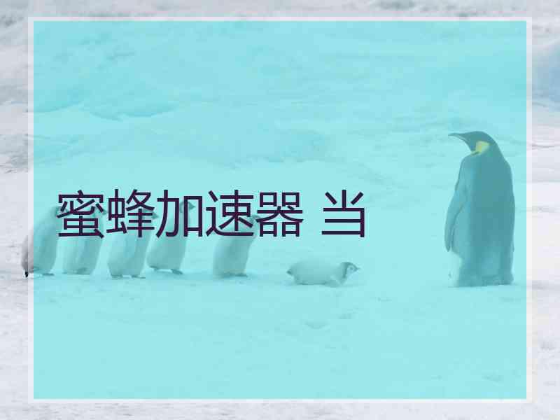 蜜蜂加速器 当
