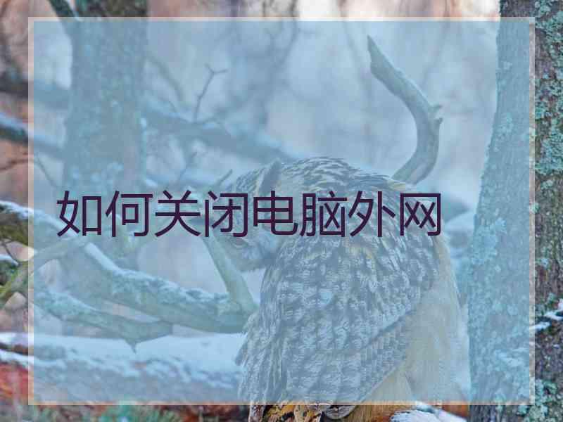 如何关闭电脑外网