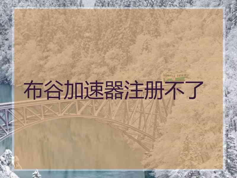 布谷加速器注册不了